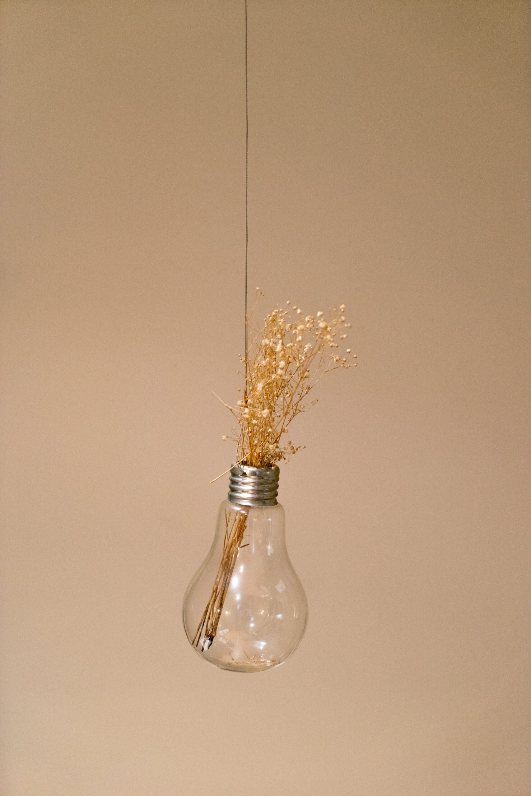 Lumière fleur à propos de MC